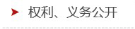 Ȩ�����񹫿�